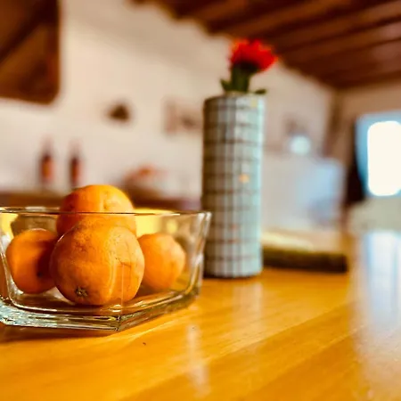 Charming Rustic Wine Cellar House In With Fireplace Casa de Férias *