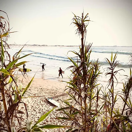Charming Rustic Wine Cellar House In With Fireplace Casa de Férias Reguengo Grande