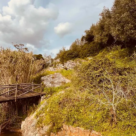 Charming Rustic Wine Cellar House In With Fireplace Casa de Férias Reguengo Grande
