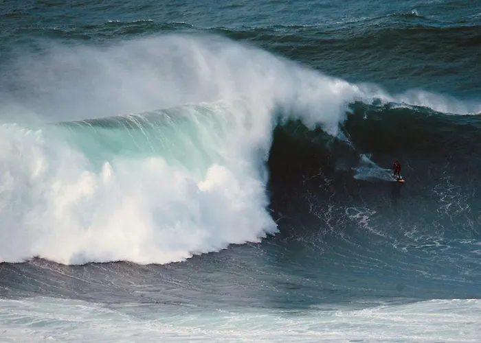 Charming Rustic Wine Cellar House In With Fireplace