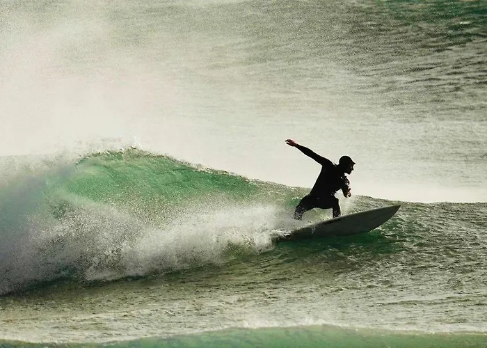 別荘 Charming Rustic Wine Cellar House In With Fireplace Reguengo Grande