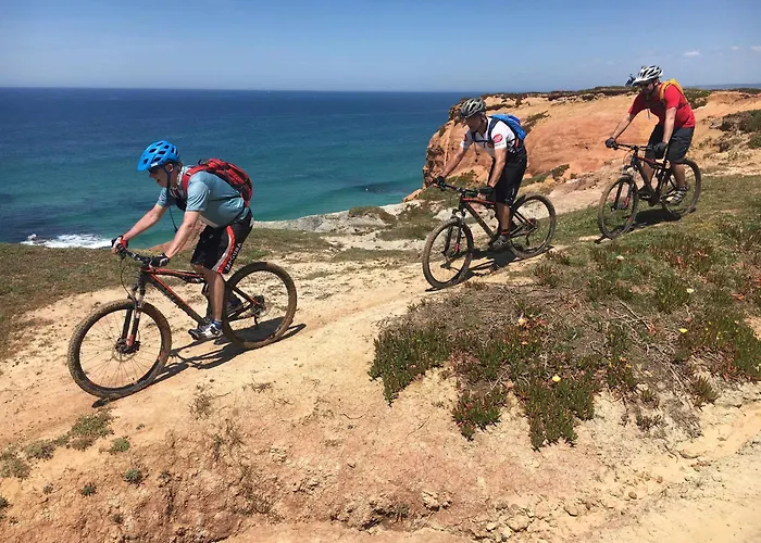 Charming Rustic Wine Cellar House In With Fireplace Feriehus *