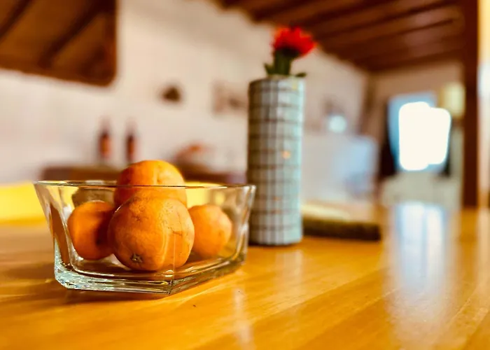 Charming Rustic Wine Cellar House In With Fireplace 別荘 *