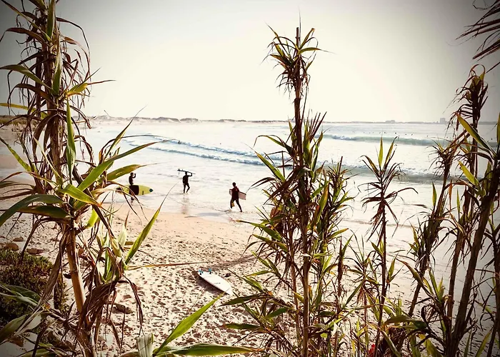 Charming Rustic Wine Cellar House In With Fireplace 別荘 Reguengo Grande