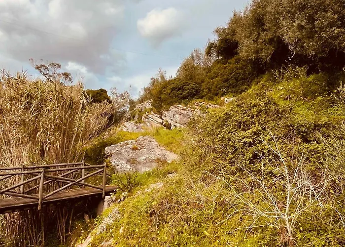 Charming Rustic Wine Cellar House In With Fireplace 別荘 Reguengo Grande